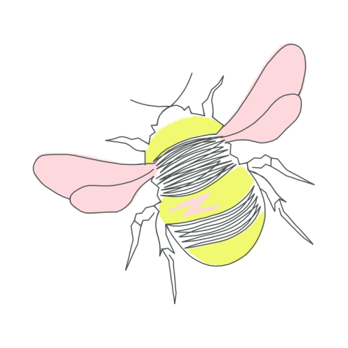 Net Winged Insects Animals Net Winged Insects Animals