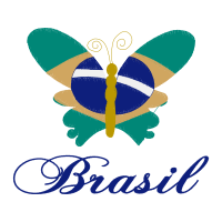 Net Winged Insects Animals Net Winged Insects Animals