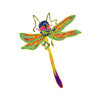 Net Winged Insects Animals Net Winged Insects Animals