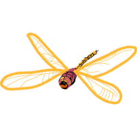 Net Winged Insects Animals Net Winged Insects Animals