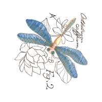 Net Winged Insects Animals Net Winged Insects Animals