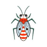 Net Winged Insects Animals Net Winged Insects Animals