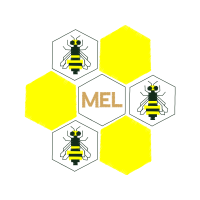 Net Winged Insects Animals