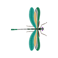 Net Winged Insects Animals Net Winged Insects Animals