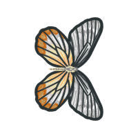 Nice To Meet You Ep Animals