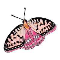 Nikon Fe2 Animals Nikon Fe2 Animals