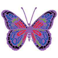 Northern Brown Argus Animals Northern Brown Argus Animals