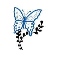 Old World Swallowtail Animals Old World Swallowtail Animals