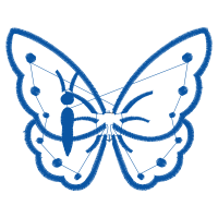 Old World Swallowtail Animals Old World Swallowtail Animals