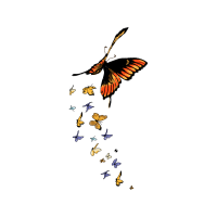 Old World Swallowtail Animals