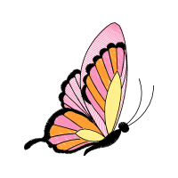 Old World Swallowtail Animals Old World Swallowtail Animals