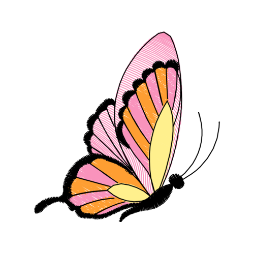 Old World Swallowtail Animals Old World Swallowtail Animals