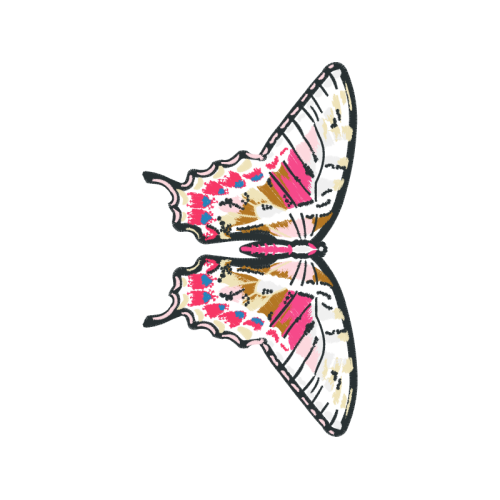 Old World Swallowtail Animals Old World Swallowtail Animals