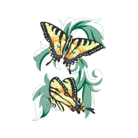 Old World Swallowtail Animals Old World Swallowtail Animals