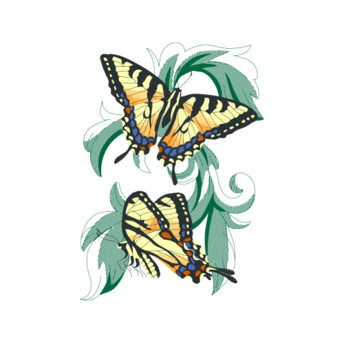 Old World Swallowtail Animals Old World Swallowtail Animals