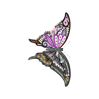 Old World Swallowtail Animals Old World Swallowtail Animals