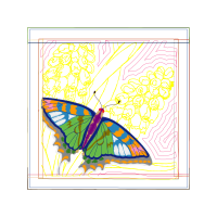 Old World Swallowtail Animals Old World Swallowtail Animals