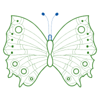 Old World Swallowtail Animals Old World Swallowtail Animals