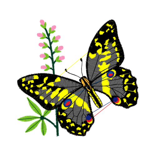 Old World Swallowtail Animals Old World Swallowtail Animals