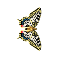 Old World Swallowtail Animals Old World Swallowtail Animals