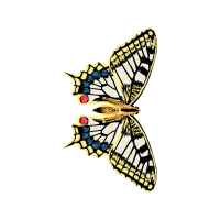 Old World Swallowtail Animals Old World Swallowtail Animals