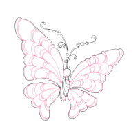 Old World Swallowtail Animals Old World Swallowtail Animals