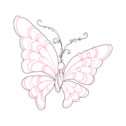 Old World Swallowtail Animals Old World Swallowtail Animals