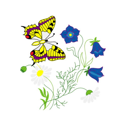 Old World Swallowtail Animals Old World Swallowtail Animals