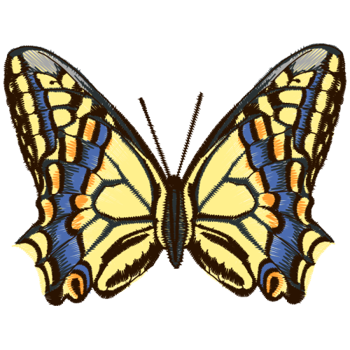 Old World Swallowtail Animals Old World Swallowtail Animals