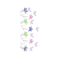 Old World Swallowtail Animals Old World Swallowtail Animals