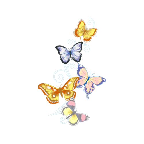 Orange Tip Animals Orange Tip Animals