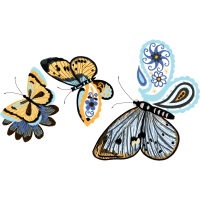 Orange Tip Animals Orange Tip Animals