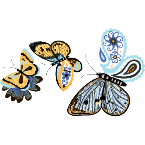 Orange Tip Animals Orange Tip Animals