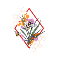 Orchids Animals Orchids Animals