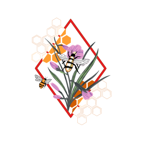 Orchids Animals Orchids Animals