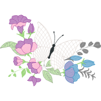 Orchids Animals Orchids Animals