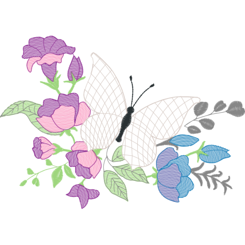 Orchids Animals Orchids Animals