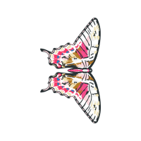 Orient Electric Table 27 Trendz 400 Mm Table Fan Animals Orient Electric Table 27 Trendz 400 Mm Table Fan Animals