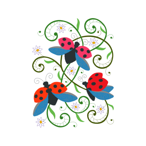 Oriental Poppy Animals Oriental Poppy Animals