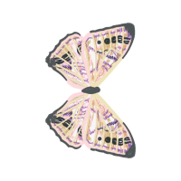 Peacock Butterfly Animals