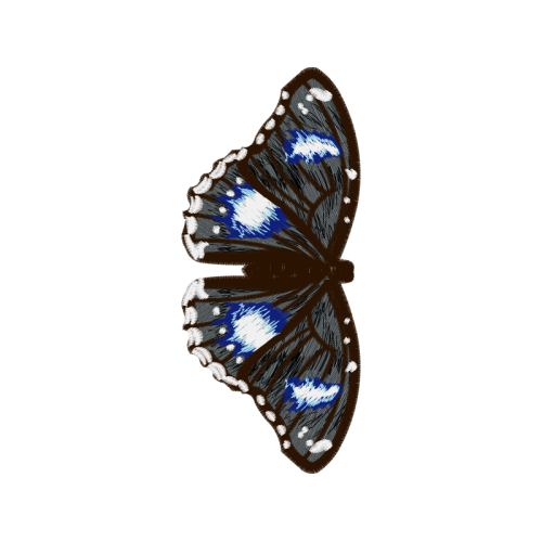 Peacock Butterfly Animals Peacock Butterfly Animals