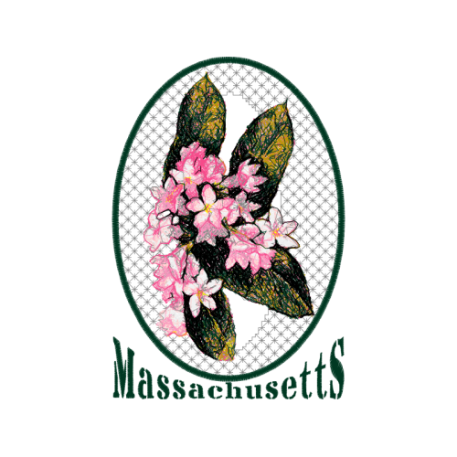 Peacock Butterfly Animals Peacock Butterfly Animals