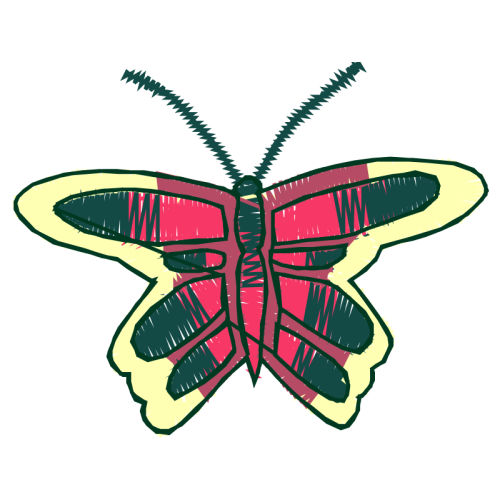 Peacock Butterfly Animals Peacock Butterfly Animals