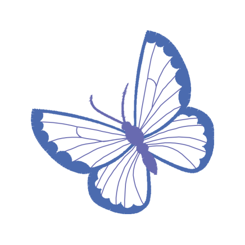 Pieridae Animals Pieridae Animals