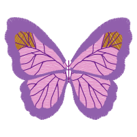 Pieridae Animals Pieridae Animals