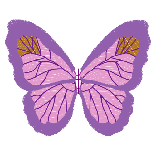 Pieridae Animals Pieridae Animals