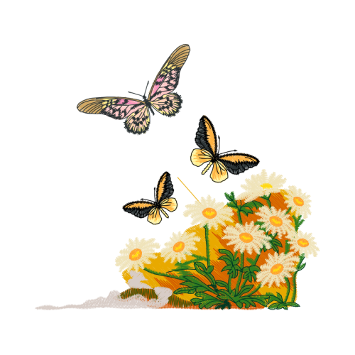 Pieridae Animals Pieridae Animals