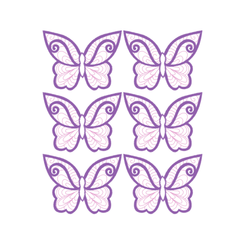 Pieridae Animals Pieridae Animals