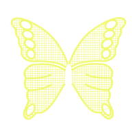 Pieridae Animals Pieridae Animals