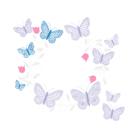 Pieridae Animals Pieridae Animals